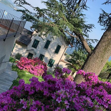 Ferienwohnung Giardini Magnolia Belgirate Exterior foto