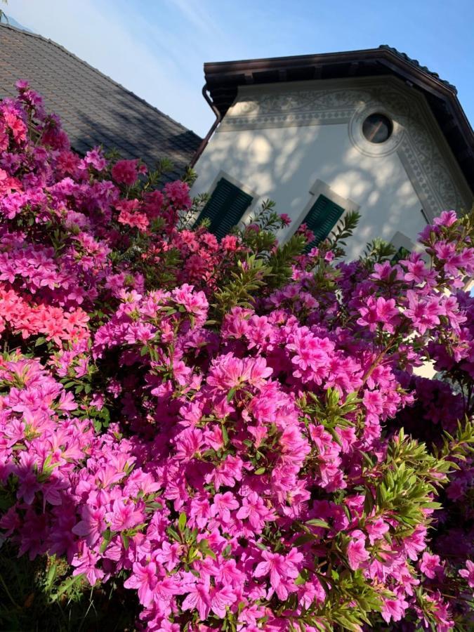 Ferienwohnung Giardini Magnolia Belgirate Exterior foto