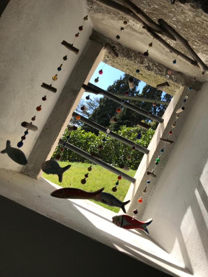 Ferienwohnung Giardini Magnolia Belgirate Exterior foto