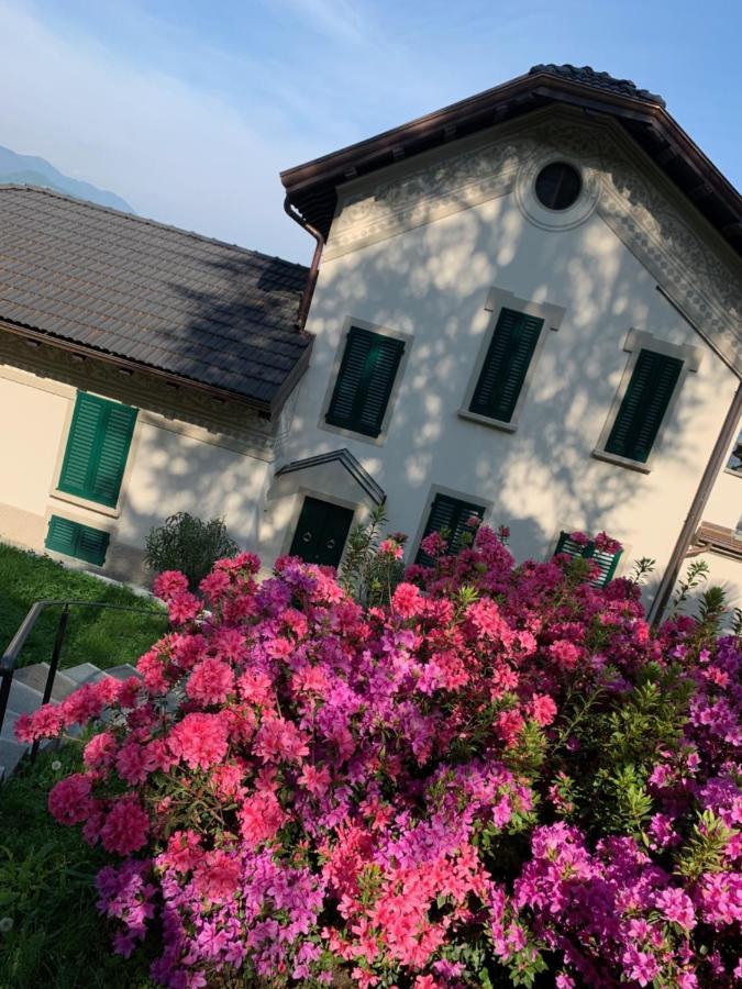 Ferienwohnung Giardini Magnolia Belgirate Exterior foto