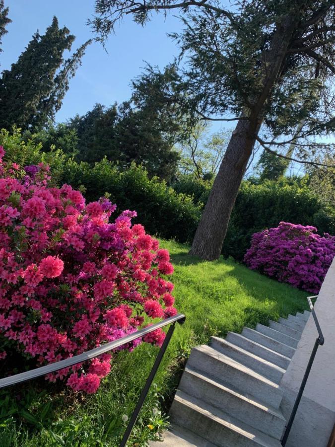 Ferienwohnung Giardini Magnolia Belgirate Exterior foto