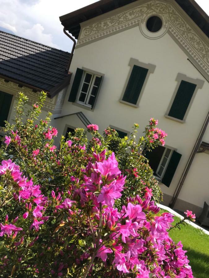 Ferienwohnung Giardini Magnolia Belgirate Exterior foto